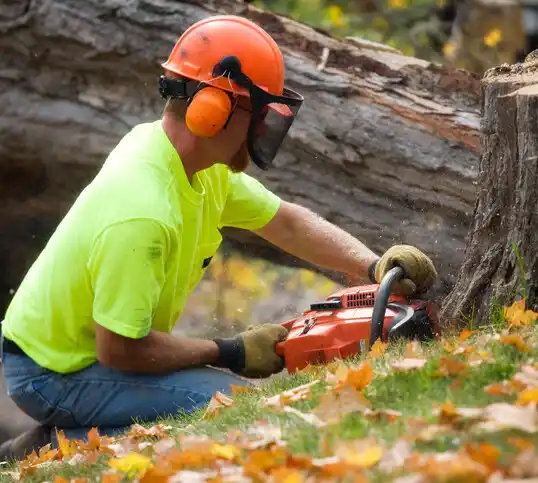 tree services Canadian Lakes